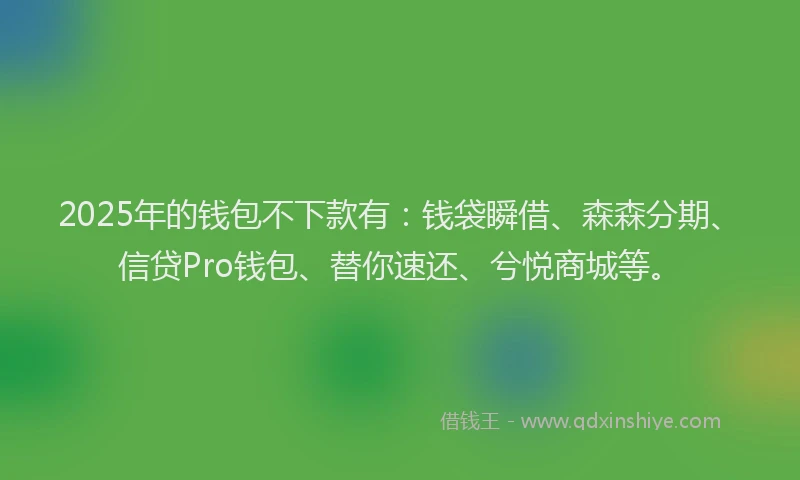 2025年的钱包不下款有：钱袋瞬借、森森分期、信贷Pro钱包、替你速还、兮悦商城等。