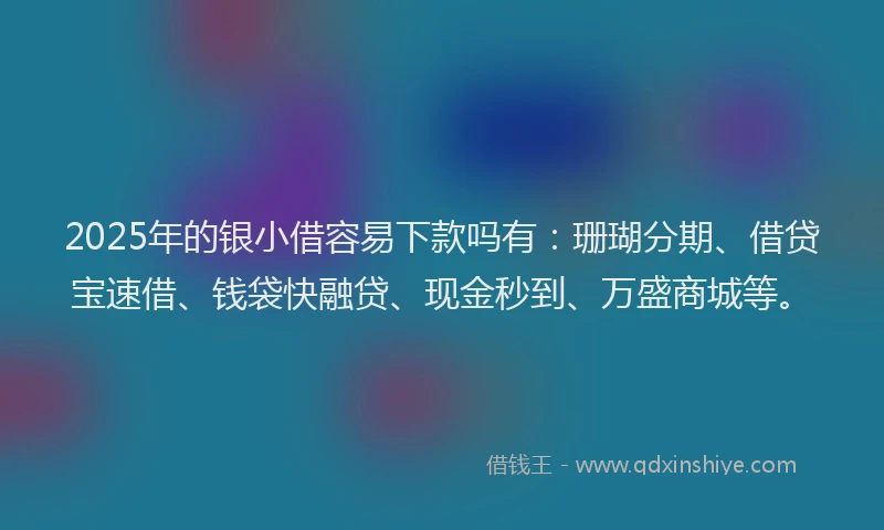 2025年的银小借容易下款吗有：珊瑚分期、借贷宝速借、钱袋快融贷、现金秒到、万盛商城等。
