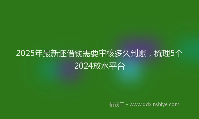 2025年最新还借钱需要审核多久到账，梳理5个2024放水平台