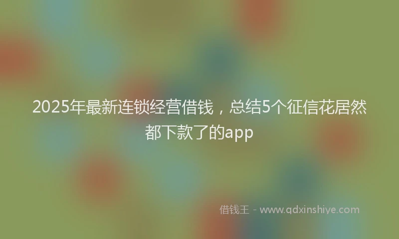 2025年最新连锁经营借钱，总结5个征信花居然都下款了的app