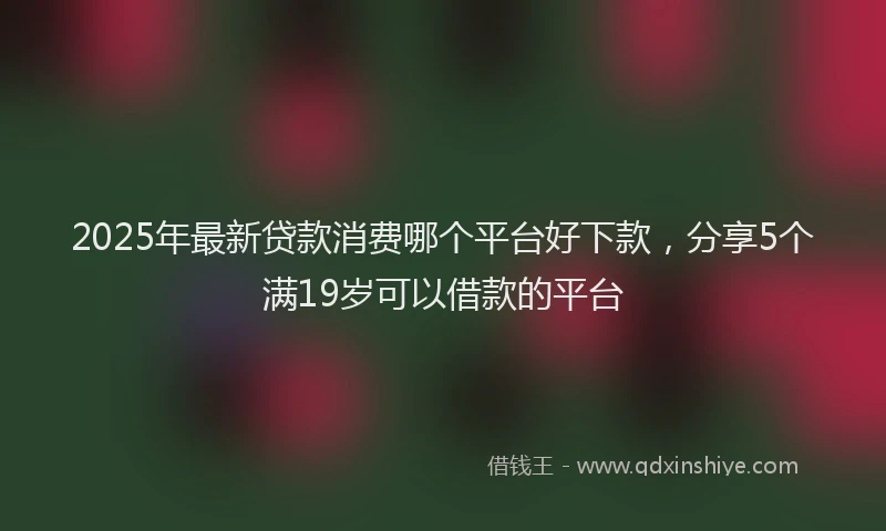 2025年最新贷款消费哪个平台好下款，分享5个满19岁可以借款的平台