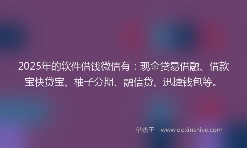 2025年的软件借钱微信有：现金贷易借融、借款宝快贷宝、柚子分期、融信贷、迅捷钱包等。