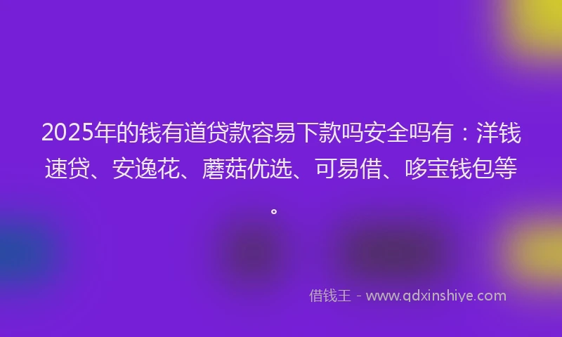 2025年的钱有道贷款容易下款吗安全吗有：洋钱速贷、安逸花、蘑菇优选、可易借、哆宝钱包等。