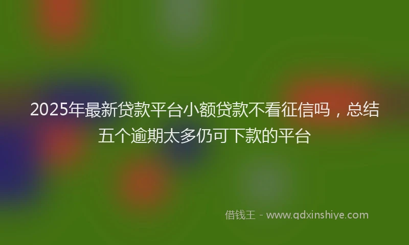 2025年最新贷款平台小额贷款不看征信吗，总结五个逾期太多仍可下款的平台