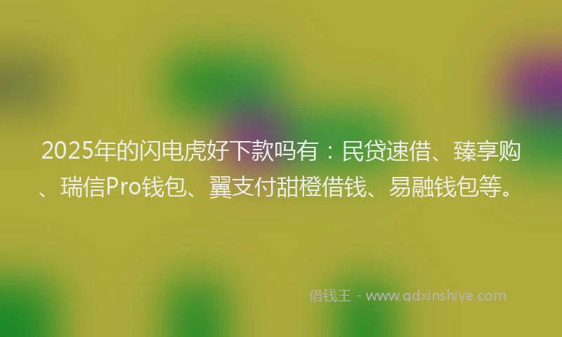 2025年的闪电虎好下款吗有：民贷速借、臻享购、瑞信Pro钱包、翼支付甜橙借钱、易融钱包等。
