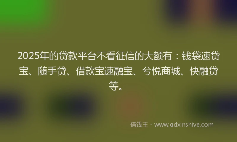 2025年的贷款平台不看征信的大额有：钱袋速贷宝、随手贷、借款宝速融宝、兮悦商城、快融贷等。