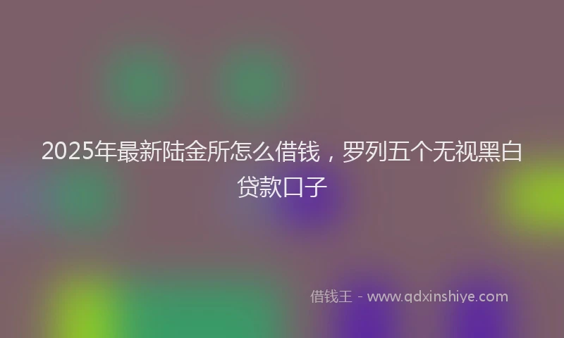 2025年最新陆金所怎么借钱，罗列五个无视黑白贷款口子