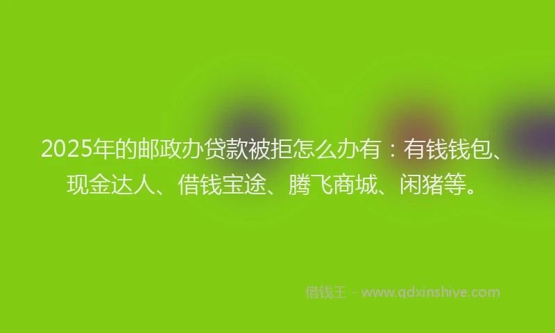 2025年的邮政办贷款被拒怎么办有：有钱钱包、现金达人、借钱宝途、腾飞商城、闲猪等。