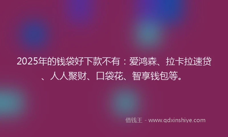 2025年的钱袋好下款不有：爱鸿森、拉卡拉速贷、人人聚财、口袋花、智享钱包等。