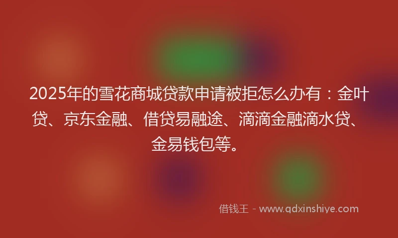 2025年的雪花商城贷款申请被拒怎么办有：金叶贷、京东金融、借贷易融途、滴滴金融滴水贷、金易钱包等。