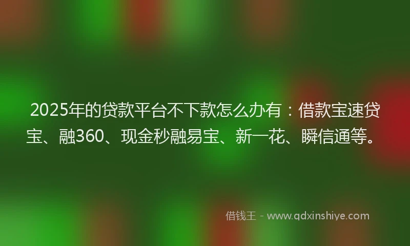 2025年的贷款平台不下款怎么办有：借款宝速贷宝、融360、现金秒融易宝、新一花、瞬信通等。