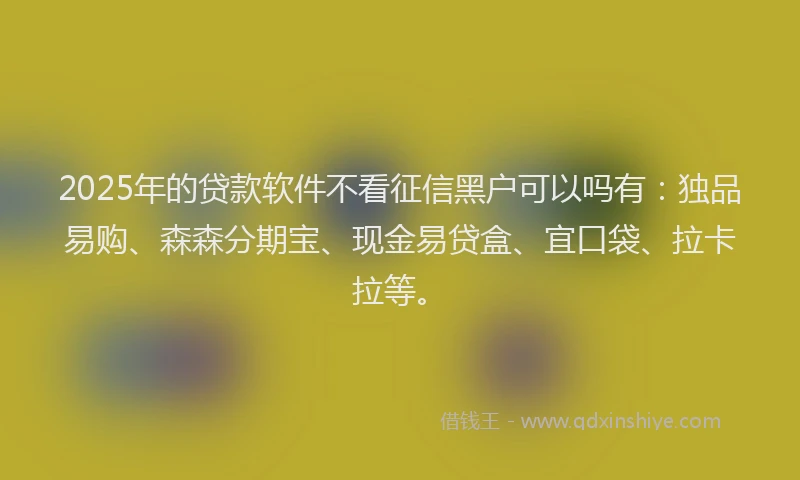 2025年的贷款软件不看征信黑户可以吗有：独品易购、森森分期宝、现金易贷盒、宜口袋、拉卡拉等。