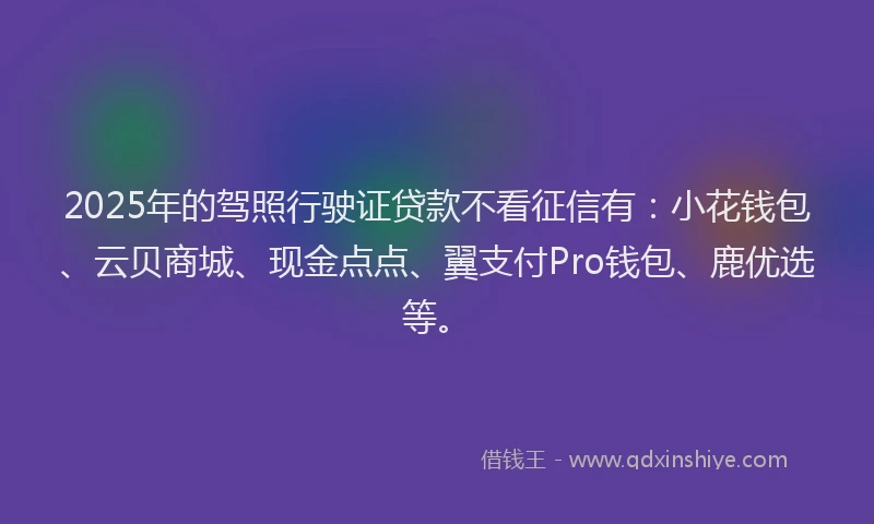 2025年的驾照行驶证贷款不看征信有：小花钱包、云贝商城、现金点点、翼支付Pro钱包、鹿优选等。