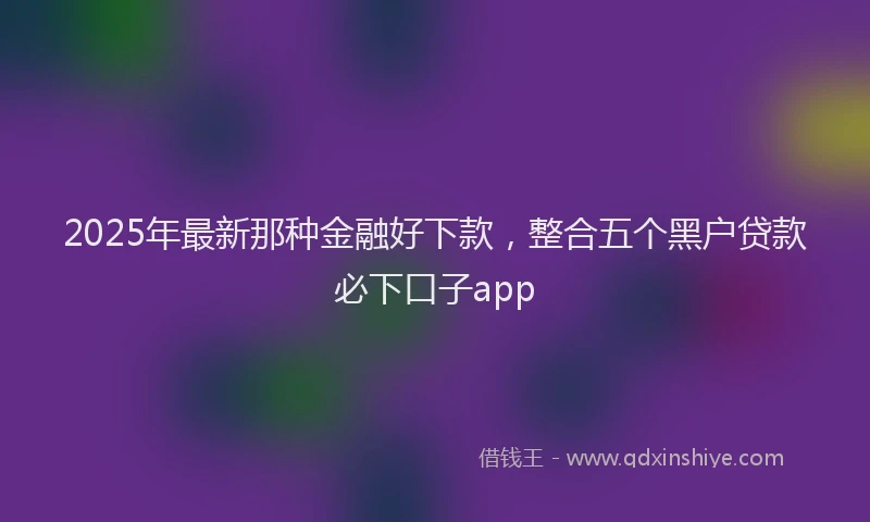 2025年最新那种金融好下款，整合五个黑户贷款必下口子app