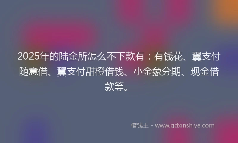 2025年的陆金所怎么不下款有:有钱花、翼支付随意借、翼支付甜橙借钱、小金象分期、现金借款等。