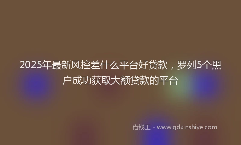 2025年最新风控差什么平台好贷款，罗列5个黑户成功获取大额贷款的平台