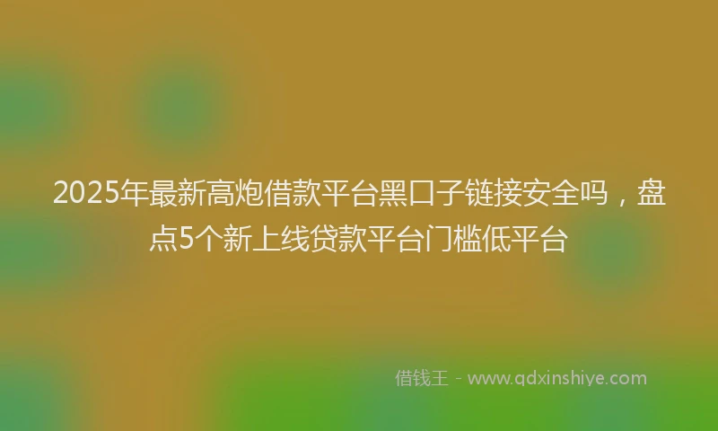 2025年最新高炮借款平台黑口子链接安全吗，盘点5个新上线贷款平台门槛低平台