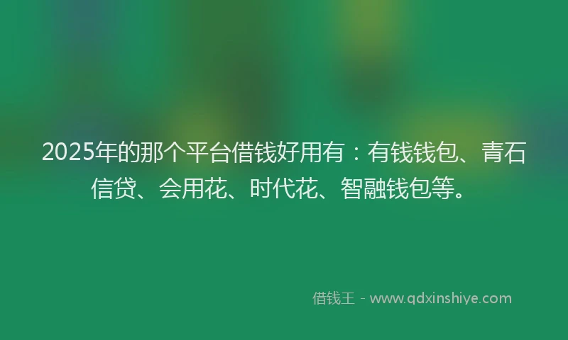 2025年的那个平台借钱好用有：有钱钱包、青石信贷、会用花、时代花、智融钱包等。