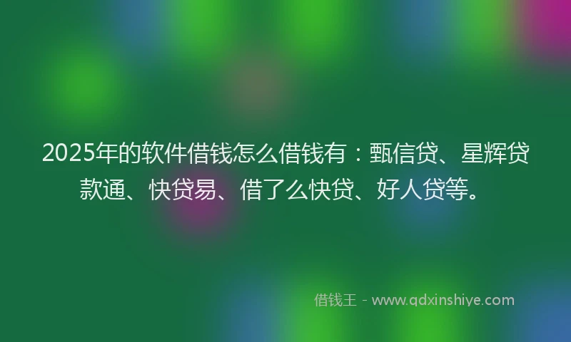 2025年的软件借钱怎么借钱有：甄信贷、星辉贷款通、快贷易、借了么快贷、好人贷等。