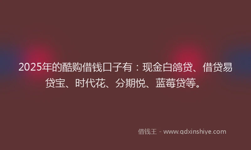2025年的酷购借钱口子有：现金白鸽贷、借贷易贷宝、时代花、分期悦、蓝莓贷等。