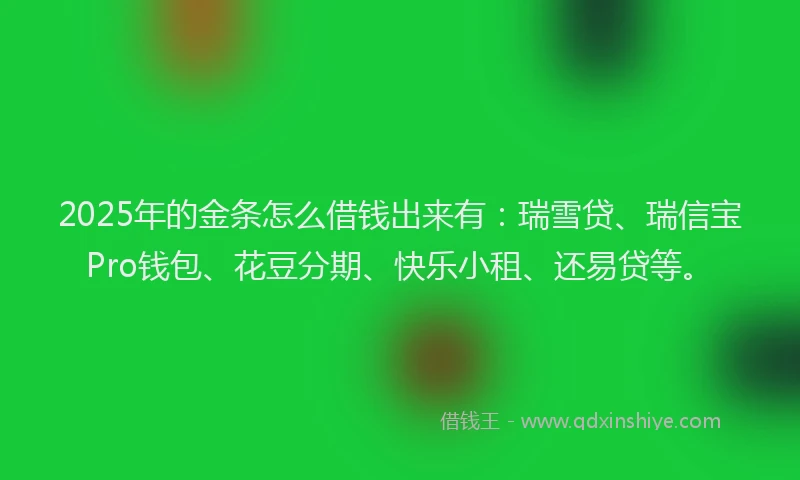 2025年的金条怎么借钱出来有：瑞雪贷、瑞信宝Pro钱包、花豆分期、快乐小租、还易贷等。