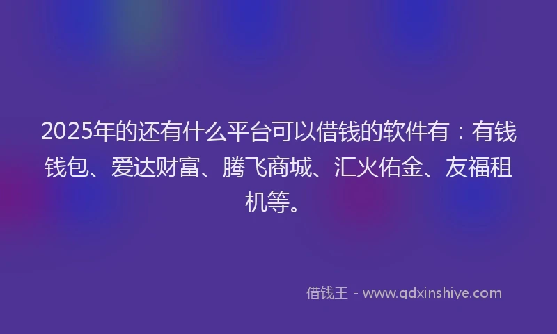 2025年的还有什么平台可以借钱的软件有：有钱钱包、爱达财富、腾飞商城、汇火佑金、友福租机等。