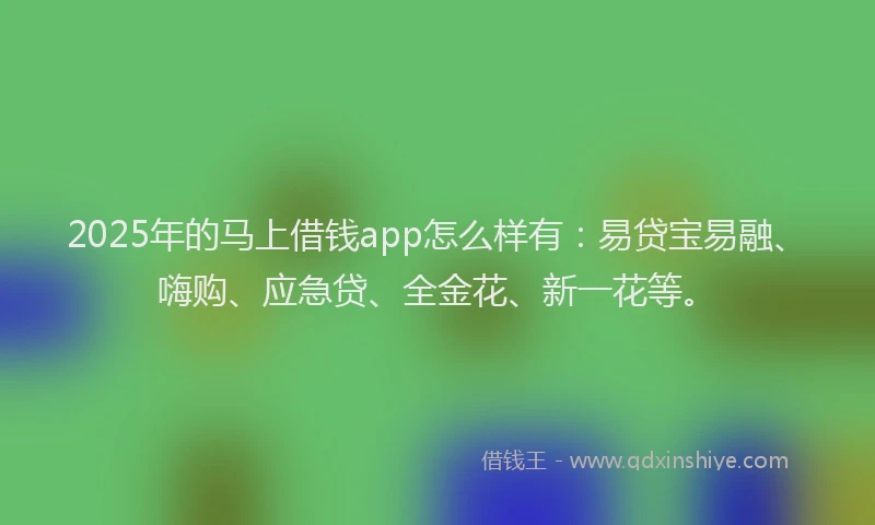 2025年的马上借钱app怎么样有：易贷宝易融、嗨购、应急贷、全金花、新一花等。