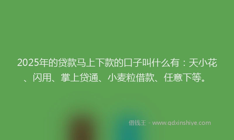 2025年的贷款马上下款的口子叫什么有:天小花、闪用、掌上贷通、小麦粒借款、任意下等。