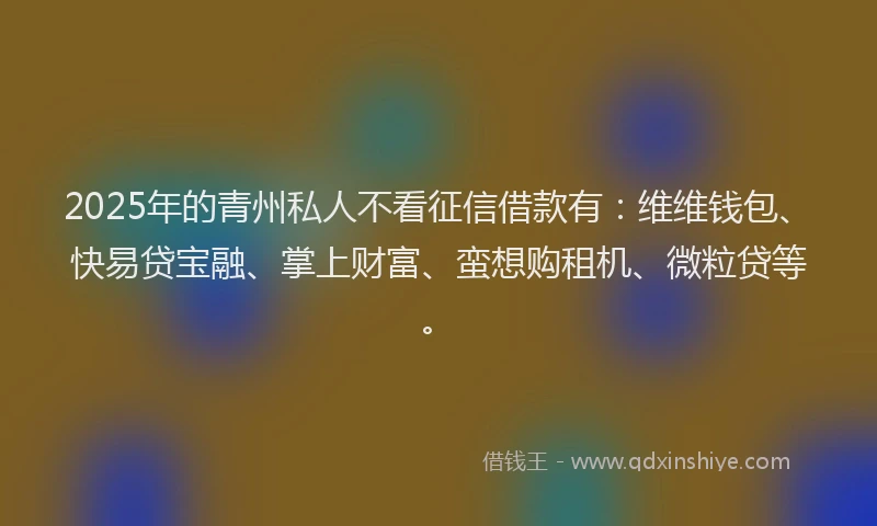 2025年的青州私人不看征信借款有:维维钱包、快易贷宝融、掌上财富、蛮想购租机、微粒贷等。