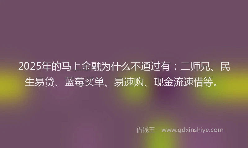 2025年的马上金融为什么不通过有：二师兄、民生易贷、蓝莓买单、易速购、现金流速借等。
