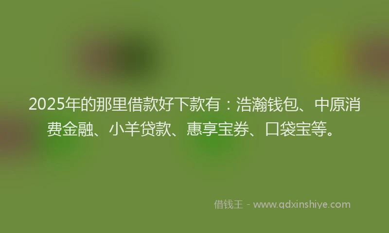 2025年的那里借款好下款有：浩瀚钱包、中原消费金融、小羊贷款、惠享宝券、口袋宝等。