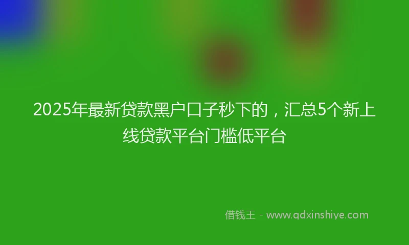 2025年最新贷款黑户口子秒下的，汇总5个新上线贷款平台门槛低平台