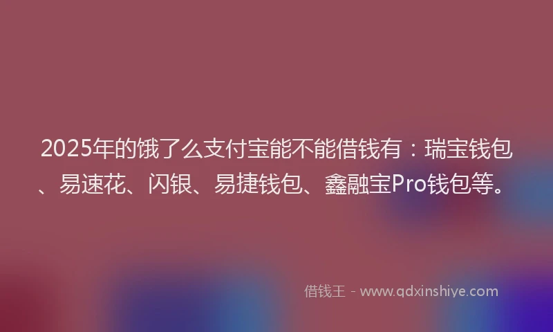 2025年的饿了么支付宝能不能借钱有：瑞宝钱包、易速花、闪银、易捷钱包、鑫融宝Pro钱包等。