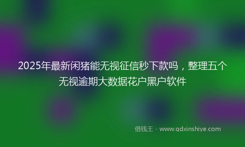 2025年最新闲猪能无视征信秒下款吗，整理五个无视逾期大数据花户黑户软件
