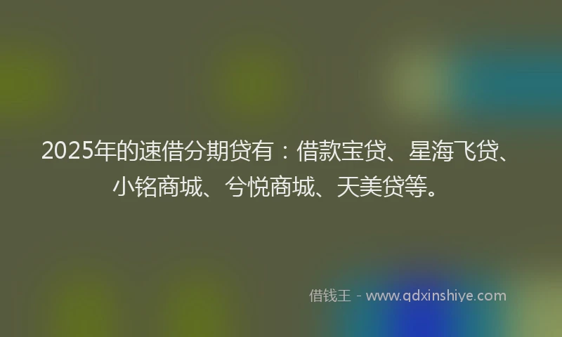 2025年的速借分期贷有：借款宝贷、星海飞贷、小铭商城、兮悦商城、天美贷等。