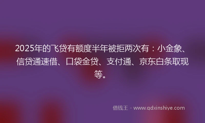 2025年的飞贷有额度半年被拒两次有：小金象、信贷通速借、口袋金贷、支付通、京东白条取现等。