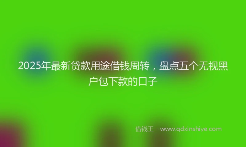 2025年最新贷款用途借钱周转，盘点五个无视黑户包下款的口子
