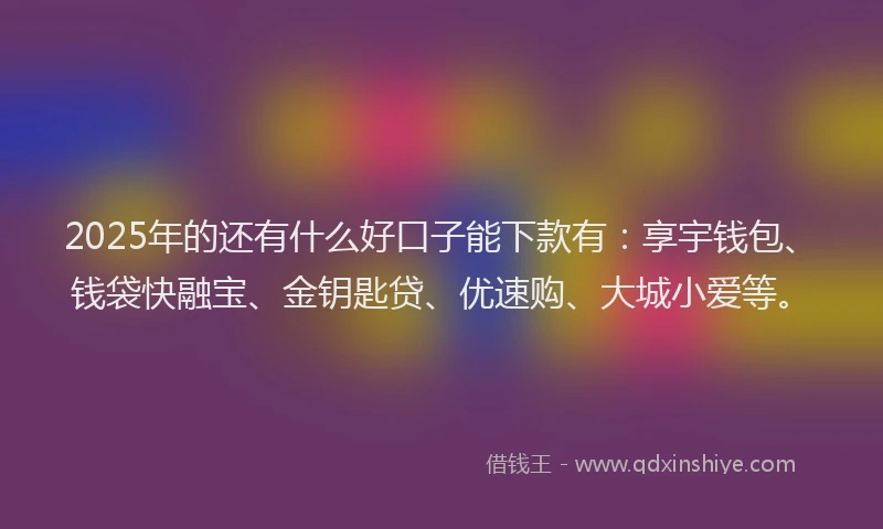 2025年的还有什么好口子能下款有：享宇钱包、钱袋快融宝、金钥匙贷、优速购、大城小爱等。