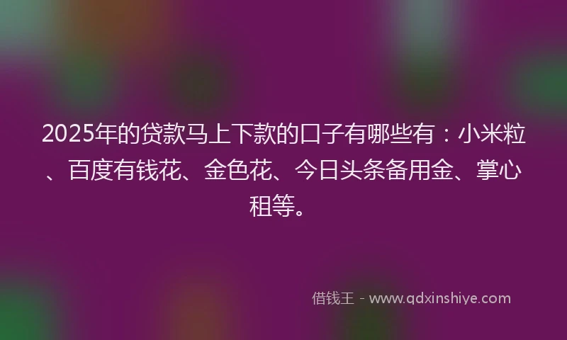 2025年的贷款马上下款的口子有哪些有：小米粒、百度有钱花、金色花、今日头条备用金、掌心租等。