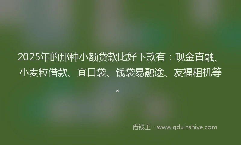 2025年的那种小额贷款比好下款有：现金直融、小麦粒借款、宜口袋、钱袋易融途、友福租机等。