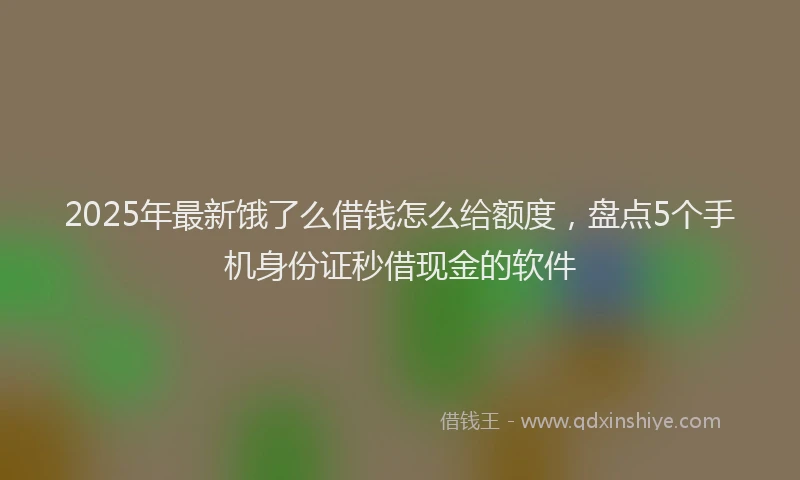 2025年最新饿了么借钱怎么给额度，盘点5个手机身份证秒借现金的软件