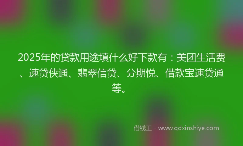 2025年的贷款用途填什么好下款有：美团生活费、速贷侠通、翡翠信贷、分期悦、借款宝速贷通等。