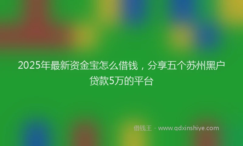 2025年最新资金宝怎么借钱，分享五个苏州黑户贷款5万的平台