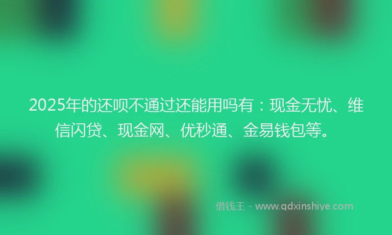 2025年的还呗不通过还能用吗有：现金无忧、维信闪贷、现金网、优秒通、金易钱包等。