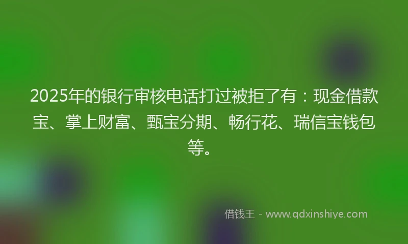 2025年的银行审核电话打过被拒了有：现金借款宝、掌上财富、甄宝分期、畅行花、瑞信宝钱包等。