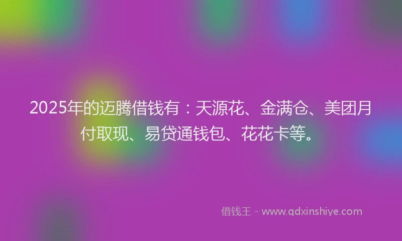 2025年的迈腾借钱有：天源花、金满仓、美团月付取现、易贷通钱包、花花卡等。