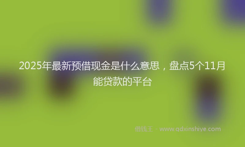 2025年最新预借现金是什么意思，盘点5个11月能贷款的平台