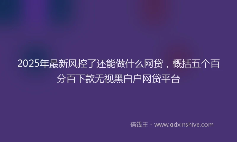 2025年最新风控了还能做什么网贷，概括五个百分百下款无视黑白户网贷平台