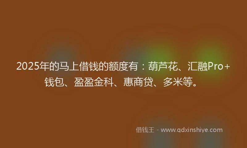 2025年的马上借钱的额度有：葫芦花、汇融Pro+钱包、盈盈金科、惠商贷、多米等。