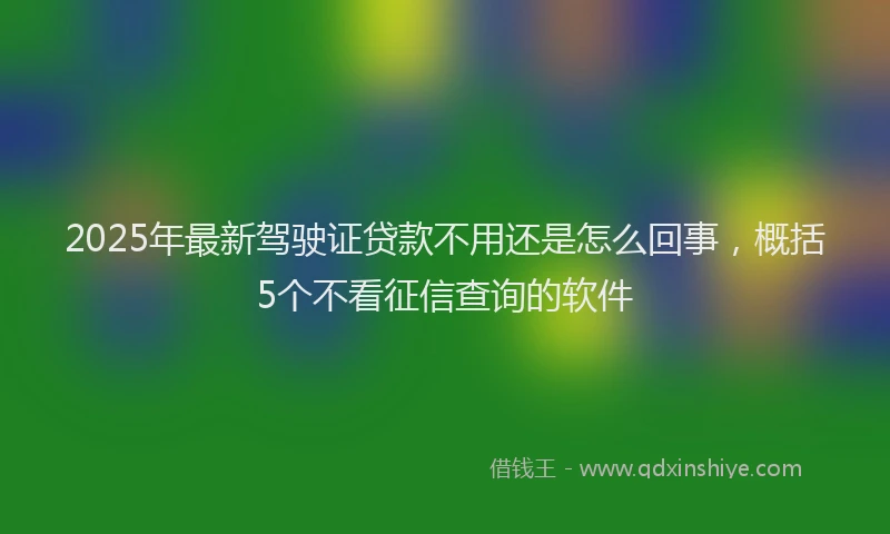 2025年最新驾驶证贷款不用还是怎么回事，概括5个不看征信查询的软件